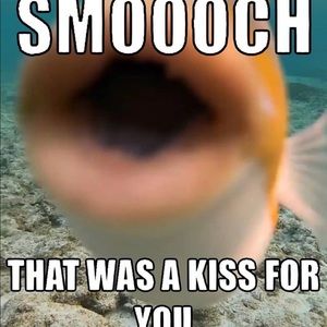 Meet your Posher, Fabian